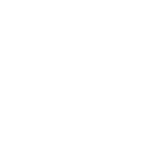 Facebook Logo White