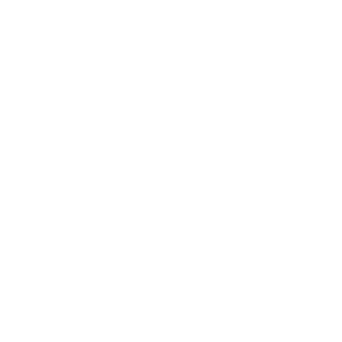 Instagram Logo White