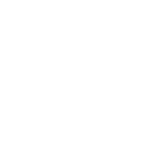 Instagram Logo White