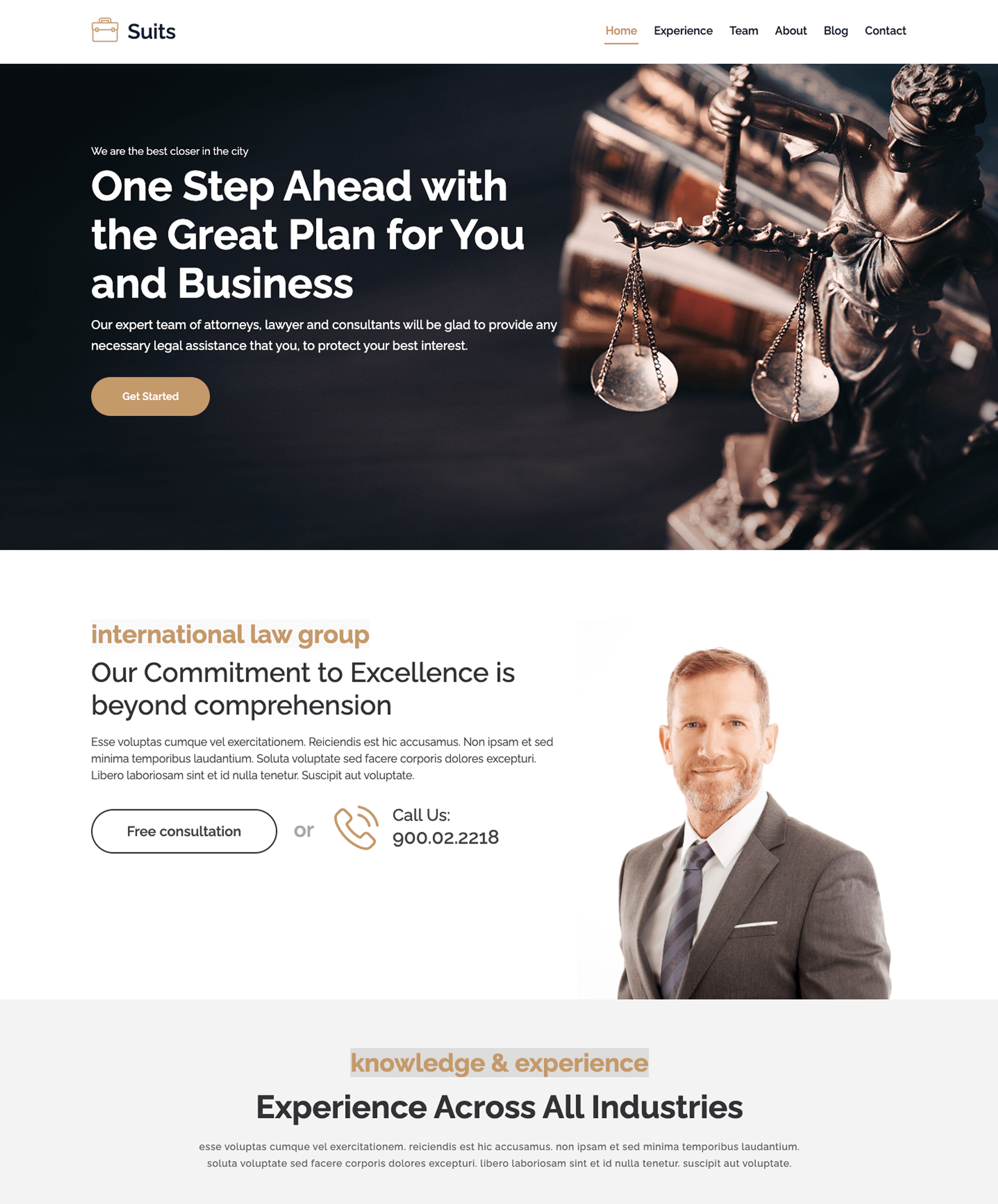 Web design for Law Firm theme 1
