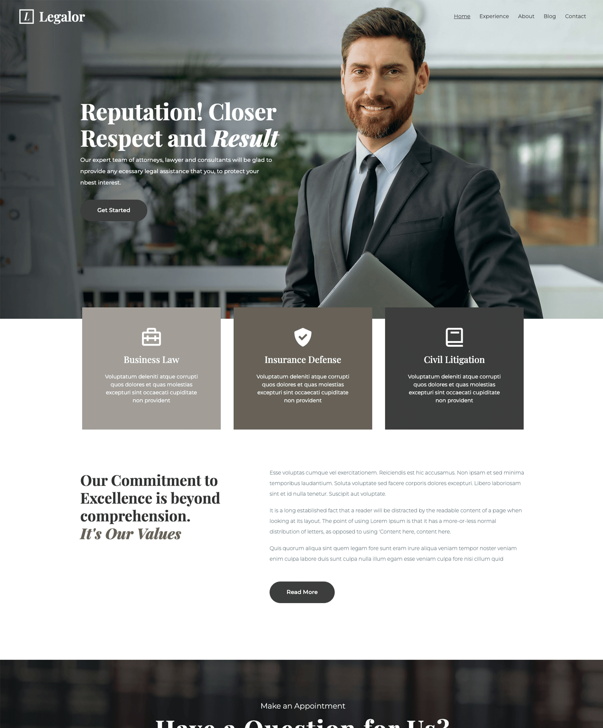 Web design for Law Firm theme 2